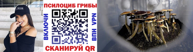 blacksprut как войти  где купить наркоту  Поронайск  Псилоцибиновые грибы GOLDEN TEACHER 